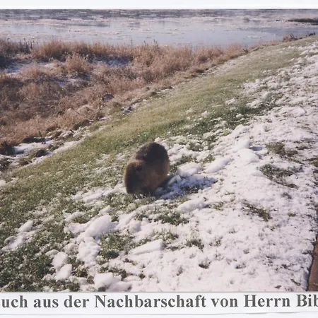 בית הארחה Elbterrassen Zu Brambach