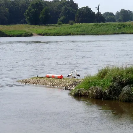 Casa de hóspedes Elbterrassen Zu Brambach