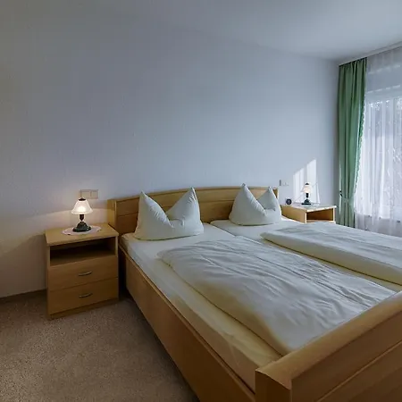 בית הארחה Elbterrassen Zu Brambach
