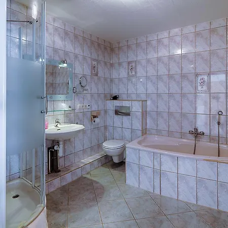 Elbterrassen Zu Brambach 3*