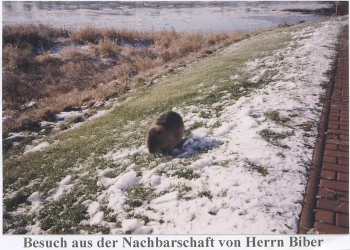 招待所 布拉姆巴赫埃布特拉森酒店