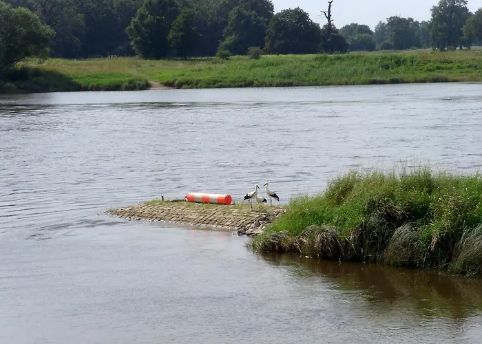 招待所 布拉姆巴赫埃布特拉森酒店