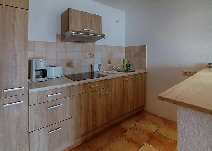 Elbterrassen Zu Brambach Pensjonat